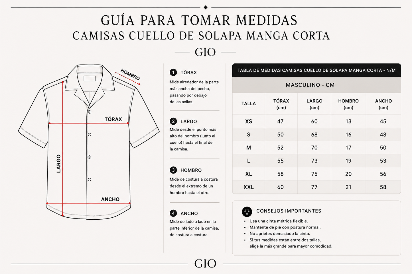 Camisa Alba – Navy Stripes